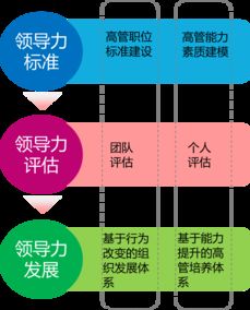 中智管理咨詢 專業(yè)企業(yè)管理咨詢服務助力企業(yè)發(fā)展