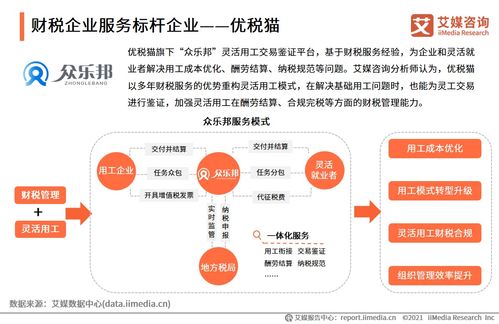 2021上半年中國財稅類企業(yè)服務專題研究報告 企業(yè)管理咨詢發(fā)展洞察