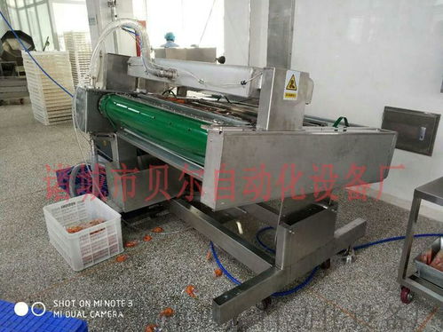 山東貝爾品牌休閑食品真空包裝機械，廠家直銷引領品質潮流